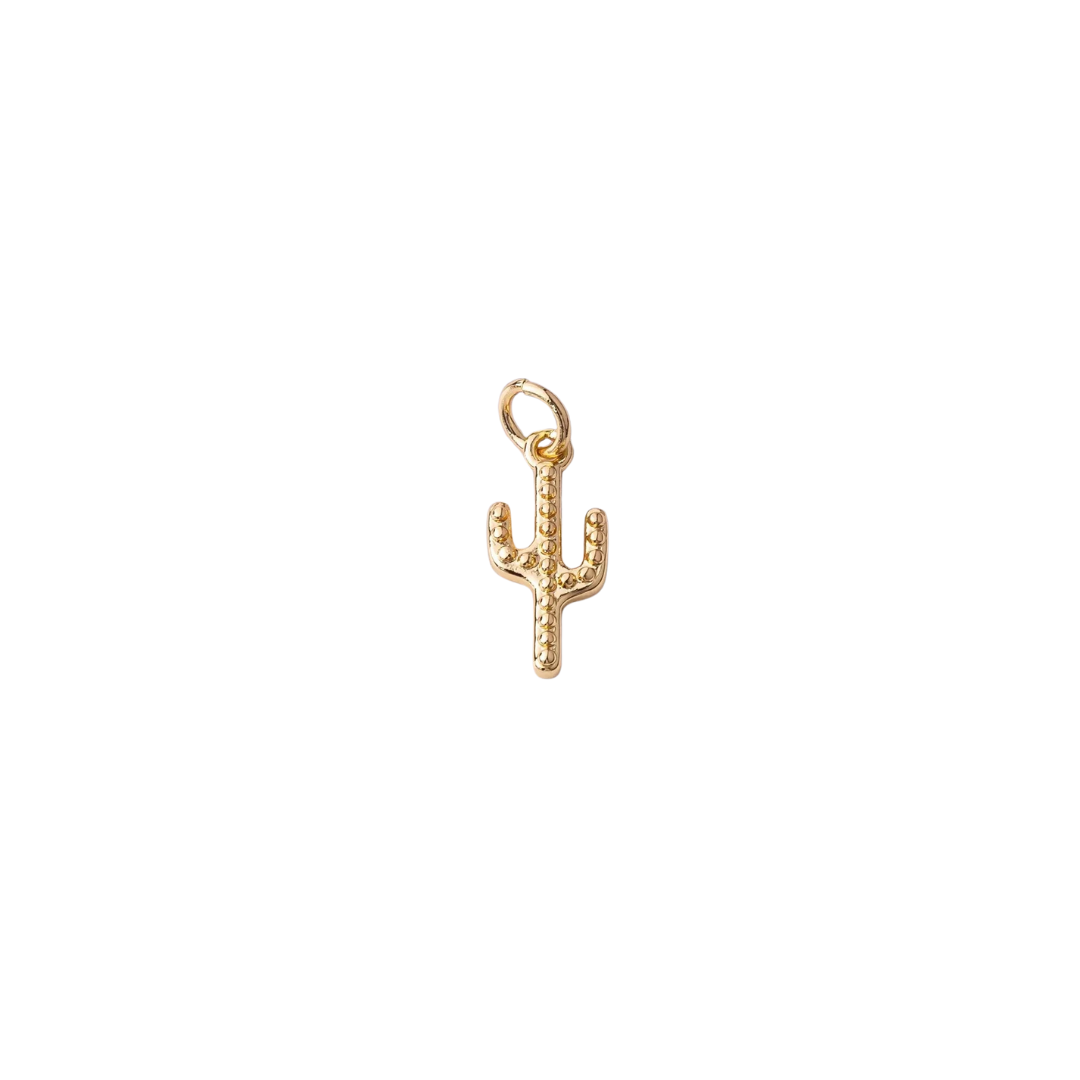 Cactus Charm