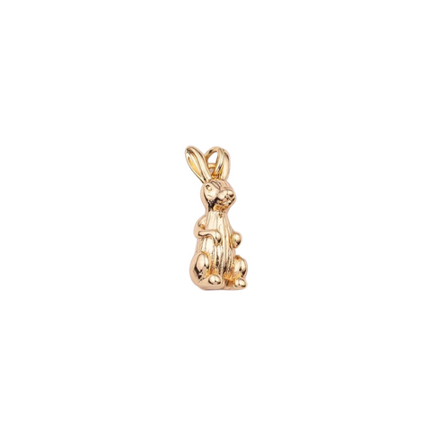Rabbit Charm